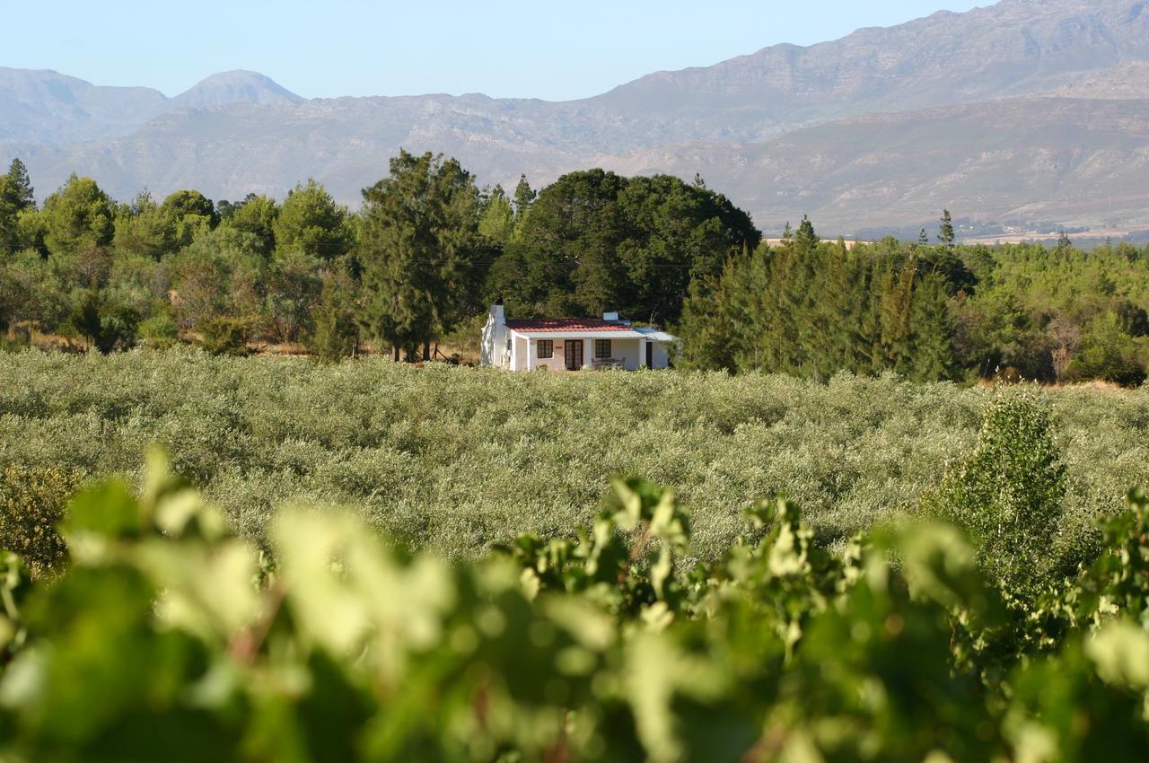 Fraaigelegen Farm - Home Of Adhara Evoo Талба Екстер'єр фото