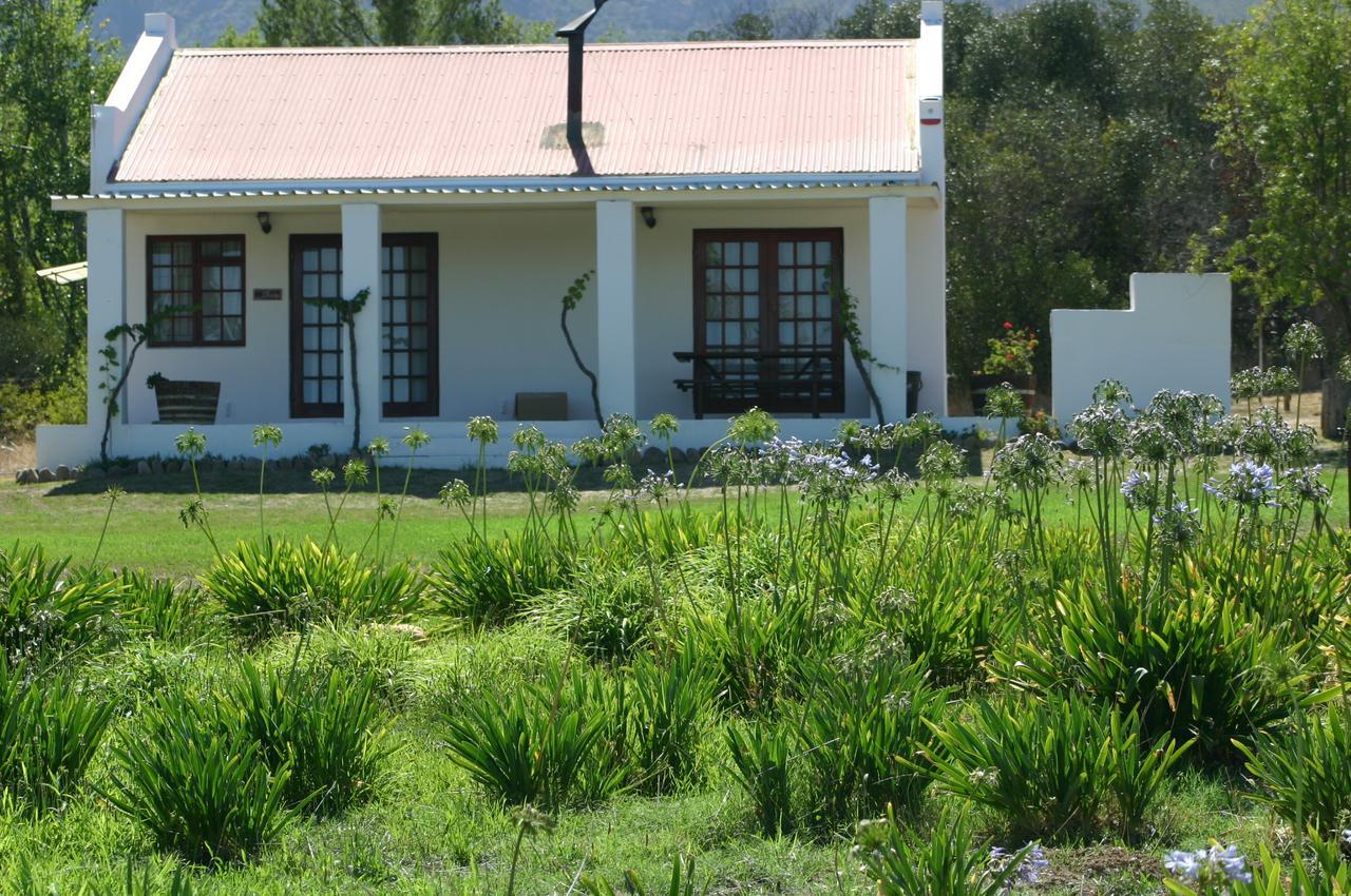 Fraaigelegen Farm - Home Of Adhara Evoo Талба Екстер'єр фото