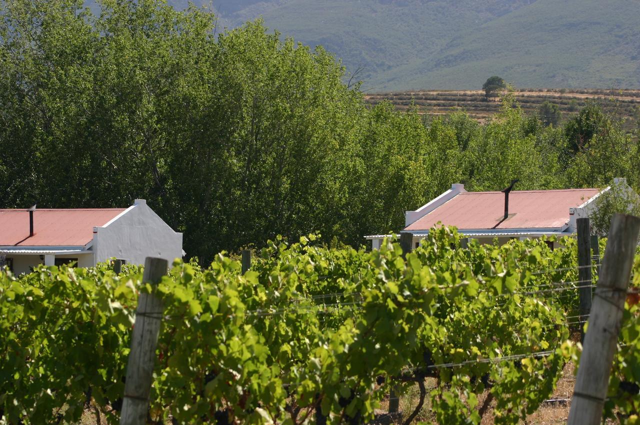 Fraaigelegen Farm - Home Of Adhara Evoo Талба Екстер'єр фото