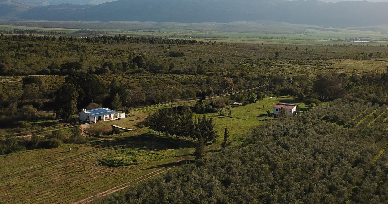 Fraaigelegen Farm - Home Of Adhara Evoo Талба Екстер'єр фото